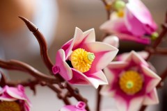 Magnoliatakken LEGO-set afbeelding 14