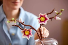 Magnoliatakken LEGO-set afbeelding 15