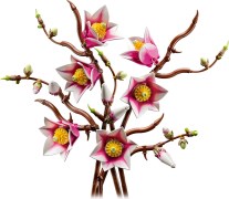 Magnoliatakken LEGO-set afbeelding 2