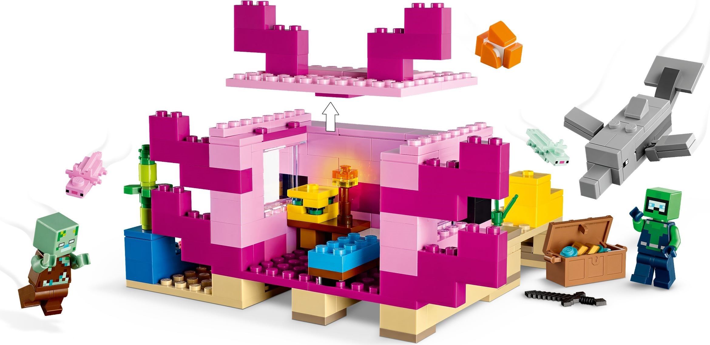 The Axolotl House