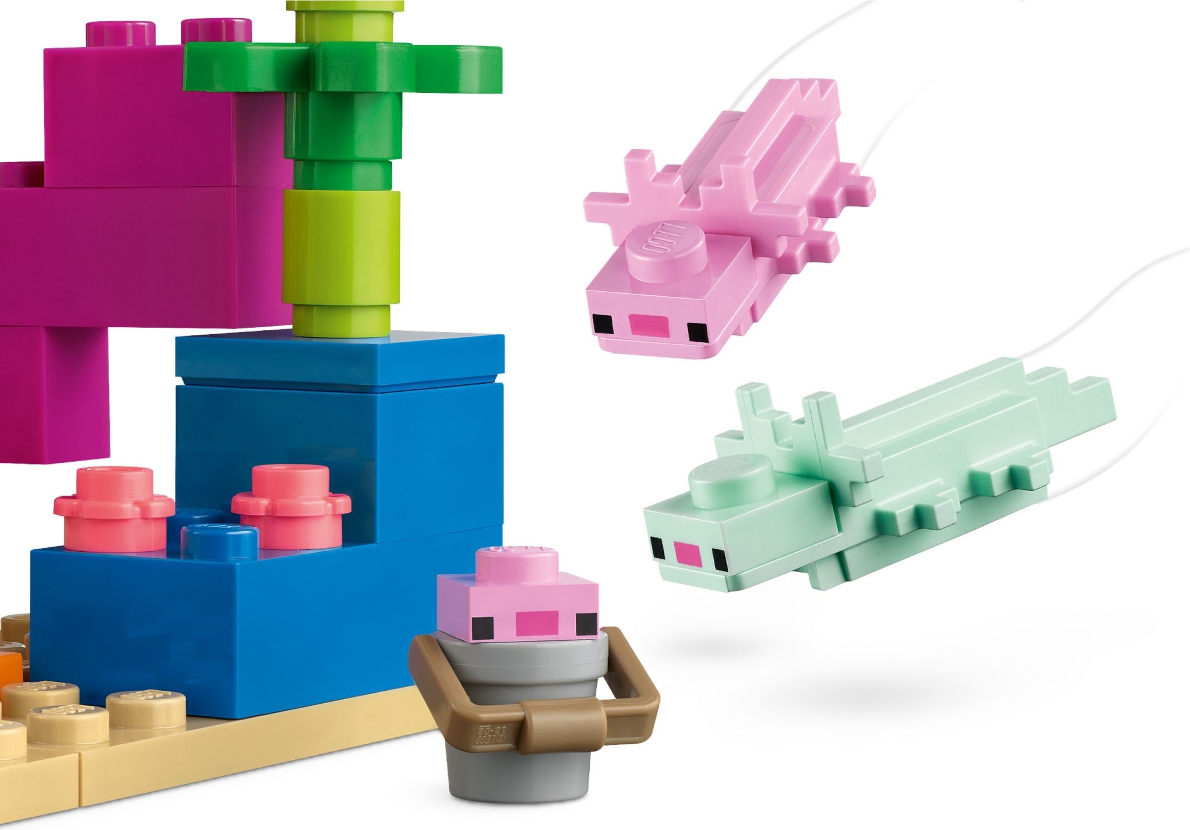 The Axolotl House