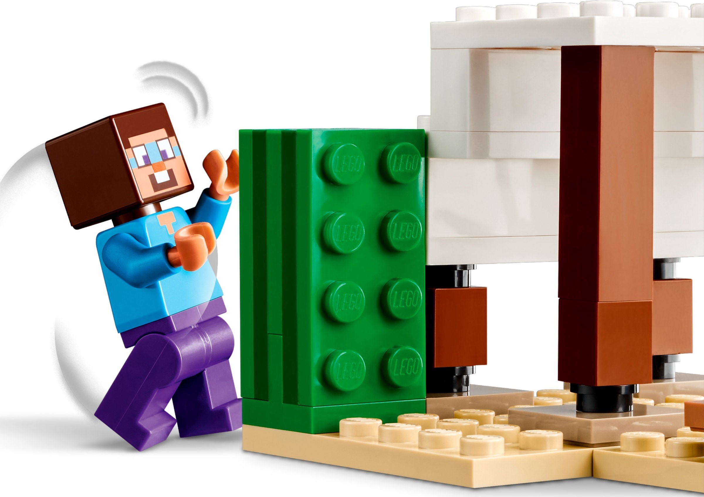 LEGO 21251 коробка