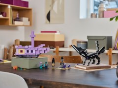 The Ender Dragon and End Ship, zdjęcie 11