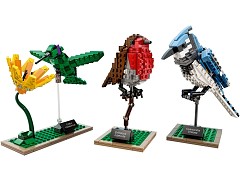 Конструктор LEGO (ЛЕГО) Ideas 21301  Birds