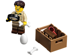 Конструктор LEGO (ЛЕГО) Ideas 21320   Dinosaur Fossils