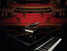 Vleugelpiano LEGO-set afbeelding 9