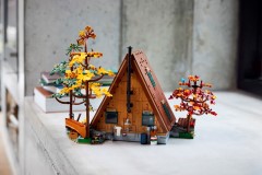 A-Frame Cabin LEGO-set afbeelding 9