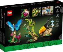 The Insect Collection, zdjęcie 7