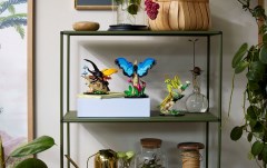 The Insect Collection, zdjęcie 9