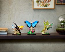 The Insect Collection, zdjęcie 10