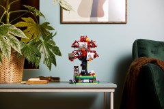 Family Tree, zdjęcie 9