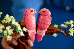 Tortelduifjes LEGO-set afbeelding 10