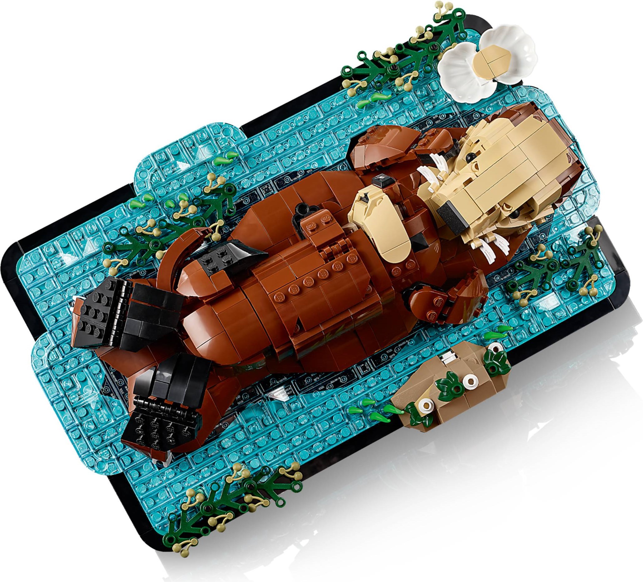 View 12