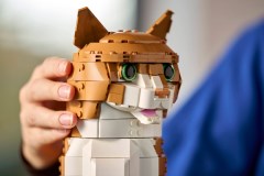 Oranje kat LEGO-set afbeelding 12