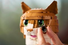 Oranje kat LEGO-set afbeelding 13