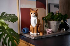 Oranje kat LEGO-set afbeelding 17
