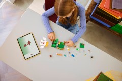 Kippenboerderij LEGO-set afbeelding 9