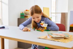 Kippenboerderij LEGO-set afbeelding 11