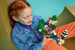 First Night Adventure LEGO-set afbeelding 14