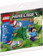 Steve and Creeper, zdjęcie 2