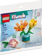Friendship Flowers, zdjęcie 2