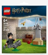 Quidditch Lesson LEGO-set afbeelding 2
