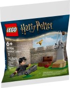 Quidditch Lesson LEGO-set afbeelding 4