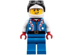 Конструктор LEGO (ЛЕГО) Creator 31076 Самолёт для крутых трюков Daredevil Stunt Plane