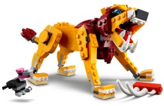 Wild Lion, zdjęcie 10