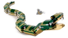 Crocodile, zdjęcie 3