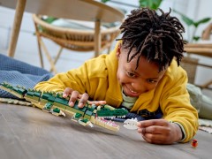 Crocodile, zdjęcie 6