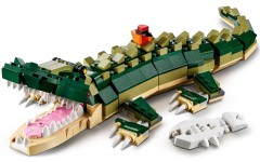 Crocodile, zdjęcie 10