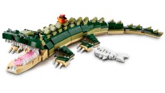 Crocodile, zdjęcie 13