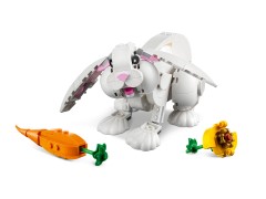 White Rabbit, zdjęcie 4