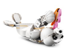 White Rabbit, zdjęcie 8