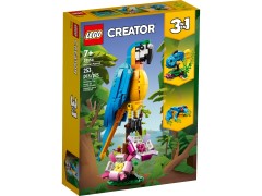 Exotic Parrot