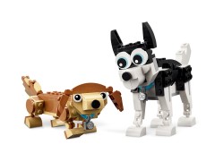 Adorable Dogs, zdjęcie 6