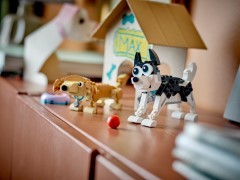 Adorable Dogs, zdjęcie 10