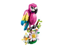 Exotic Pink Parrot, zdjęcie 4