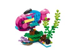Exotic Pink Parrot, zdjęcie 7