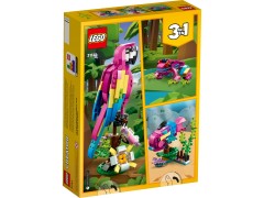 Exotic Pink Parrot, zdjęcie 9
