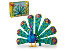 Exotic Peacock, zdjęcie 2