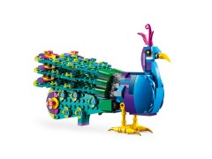 Exotic Peacock, zdjęcie 3