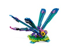 Exotic Peacock, zdjęcie 4