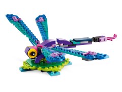 Exotic Peacock, zdjęcie 5