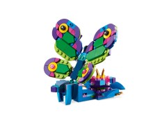 Exotic Peacock, zdjęcie 6