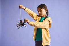Wilde dieren: spannende spin LEGO-set afbeelding 10