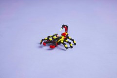 Wilde dieren: spannende spin LEGO-set afbeelding 12