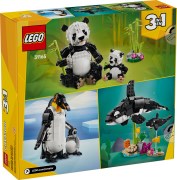 Wilde dieren: pandafamilie LEGO-set afbeelding 2