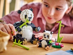 Wilde dieren: pandafamilie LEGO-set afbeelding 7